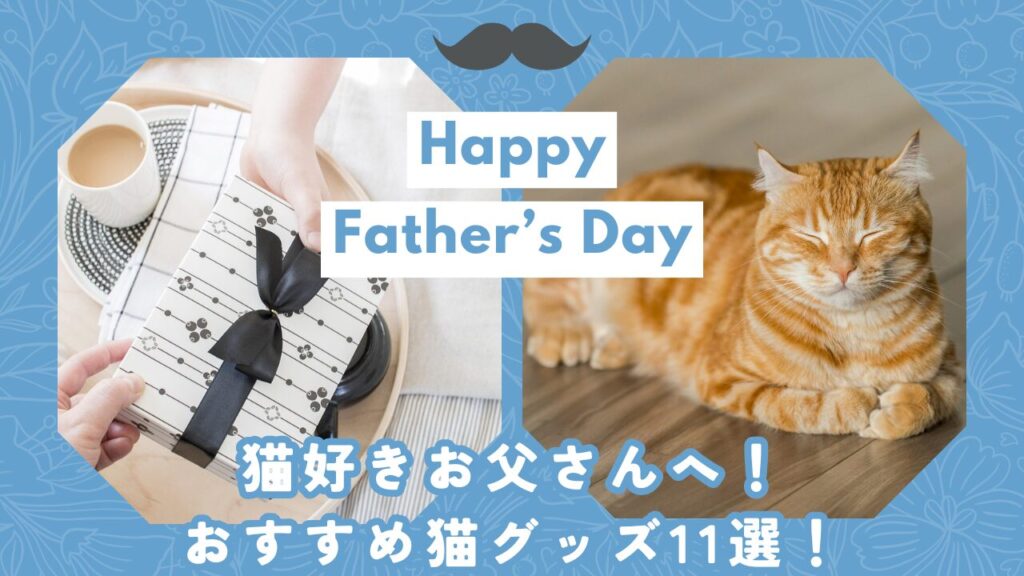 猫好きお父さんへ！おすすめ猫グッズ11選！