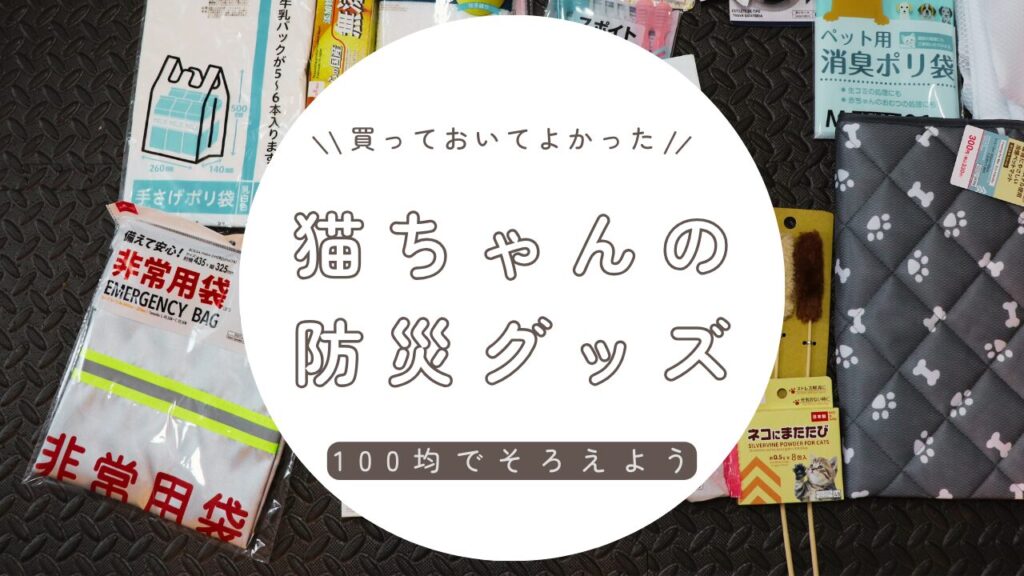 【100均】猫の防災避難グッズをプチプラで揃えるコツ