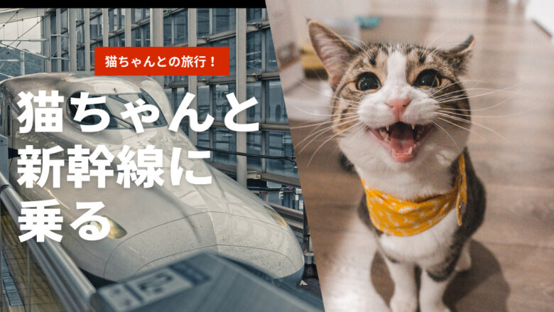 新幹線 猫 うるさい:新幹線で猫を連れて行く際の注意点 7 %E7%8C%AB%E3%81%A1%E3%82%83%E3%82%93%E3%81%A8 %E6%96%B0%E5%B9%B9%E7%B7%9A%E3%81%AB %E4%B9%97%E3%82%8B
