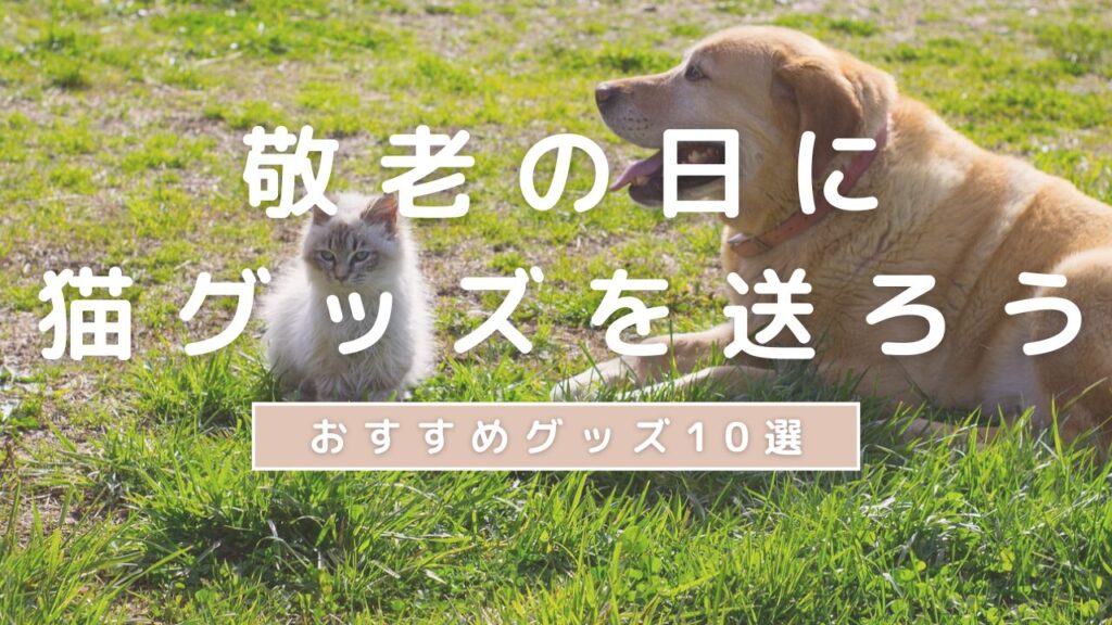 敬老の日に 猫グッズを送ろう