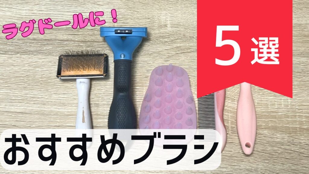 ラグドールにおすすめのブラシ5選