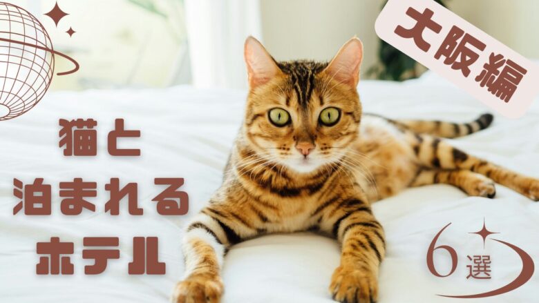 大阪で猫と泊まれるホテル
