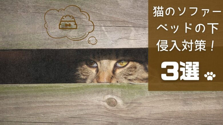 猫のソファー ベッドの下侵入対策！