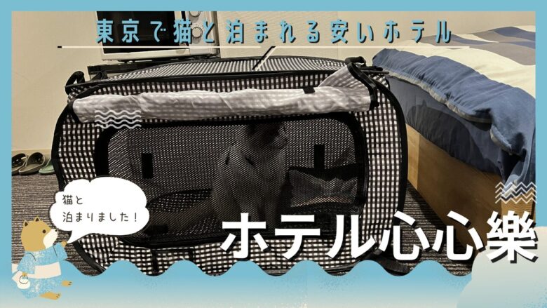 東京で猫と泊まれる安いホテル