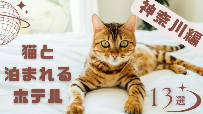 神奈川で猫と泊まれるホテル
