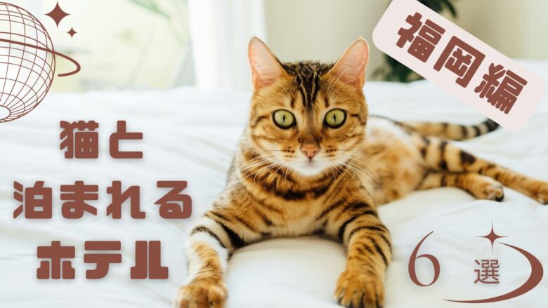 福岡で猫と泊まれるホテル