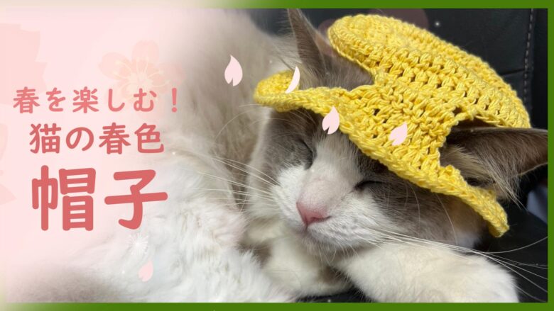 猫のおしゃれに！猫のための耳出し春色帽子の編み方