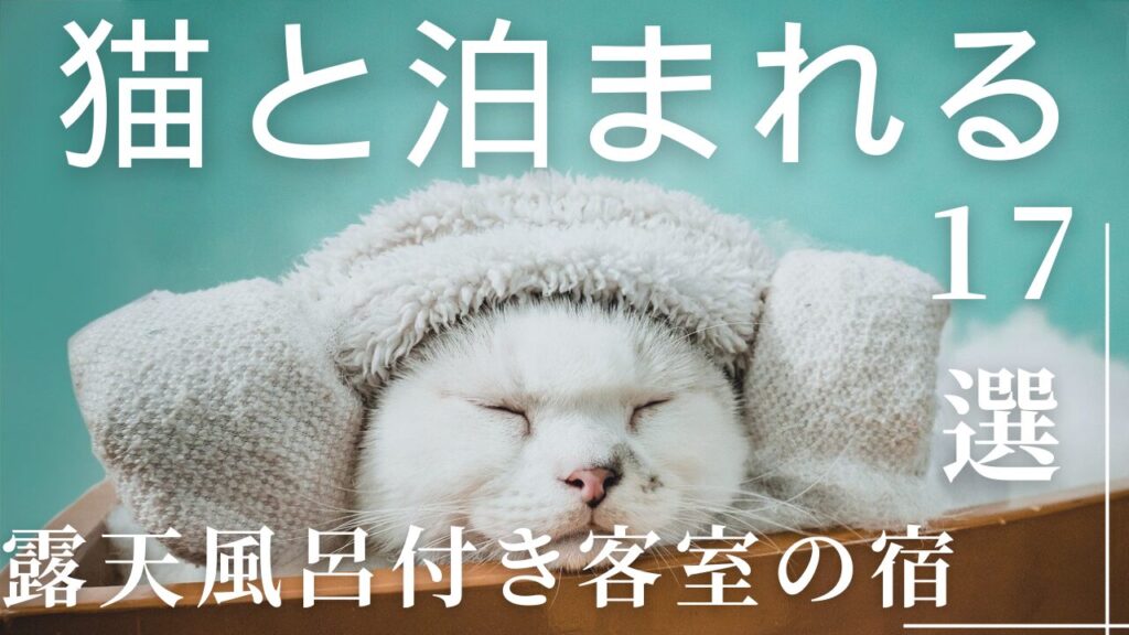 猫と泊まれる！露天風呂付き客室の宿17選！