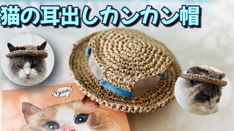 夏にぴったり！猫のための耳出しカンカン帽の編み方