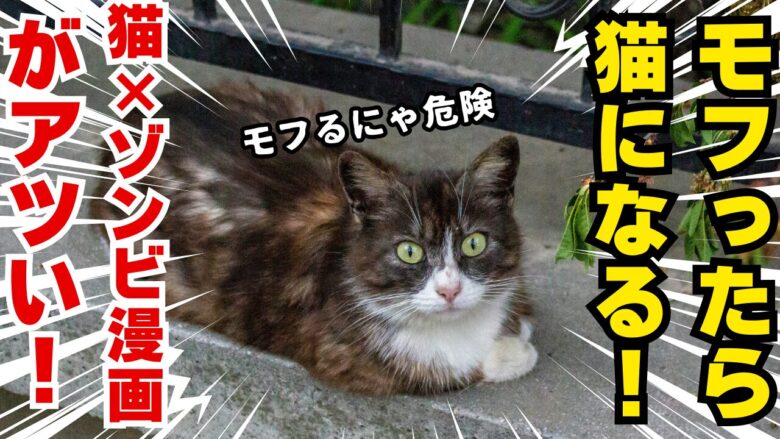 モフったら猫になる！猫×ゾンビ漫画 がアツい！