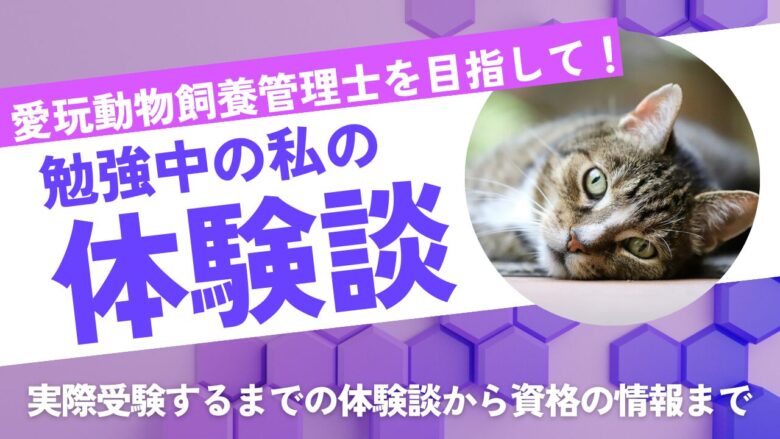 愛玩動物飼養管理士を目指して！勉強中の私の体験談