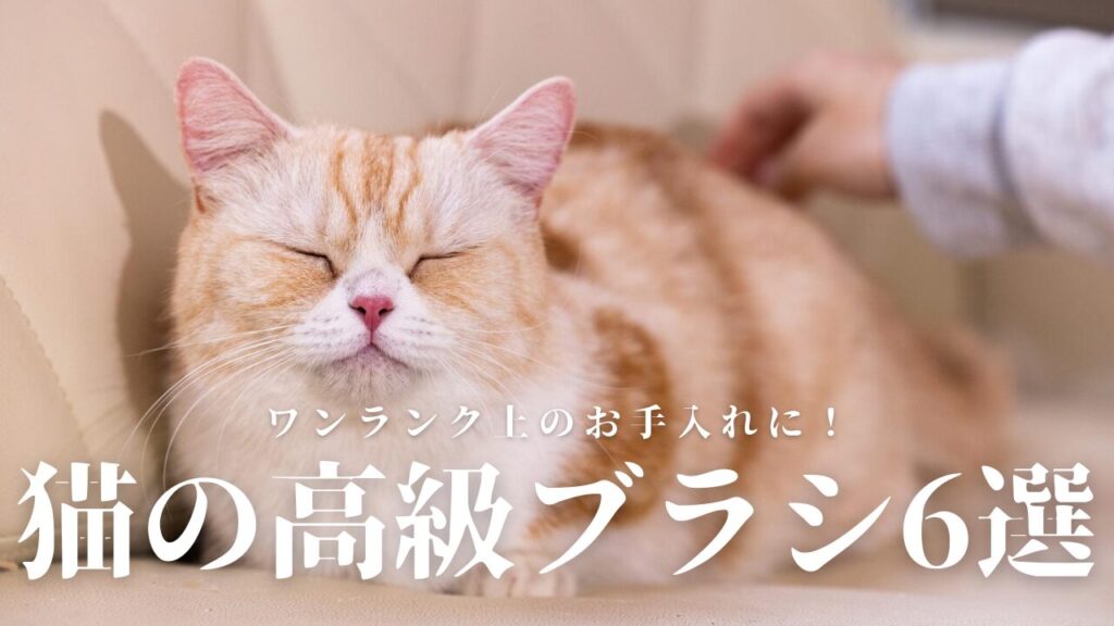 ワンランク上のお手入れに！猫の高級ブラシ6選！