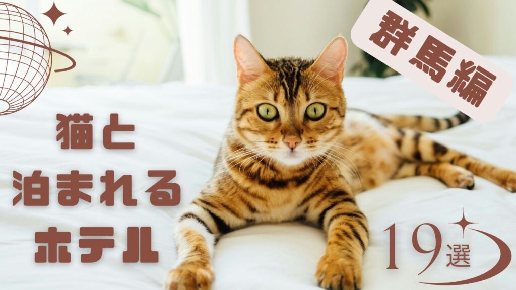 群馬で猫と泊まれるホテル