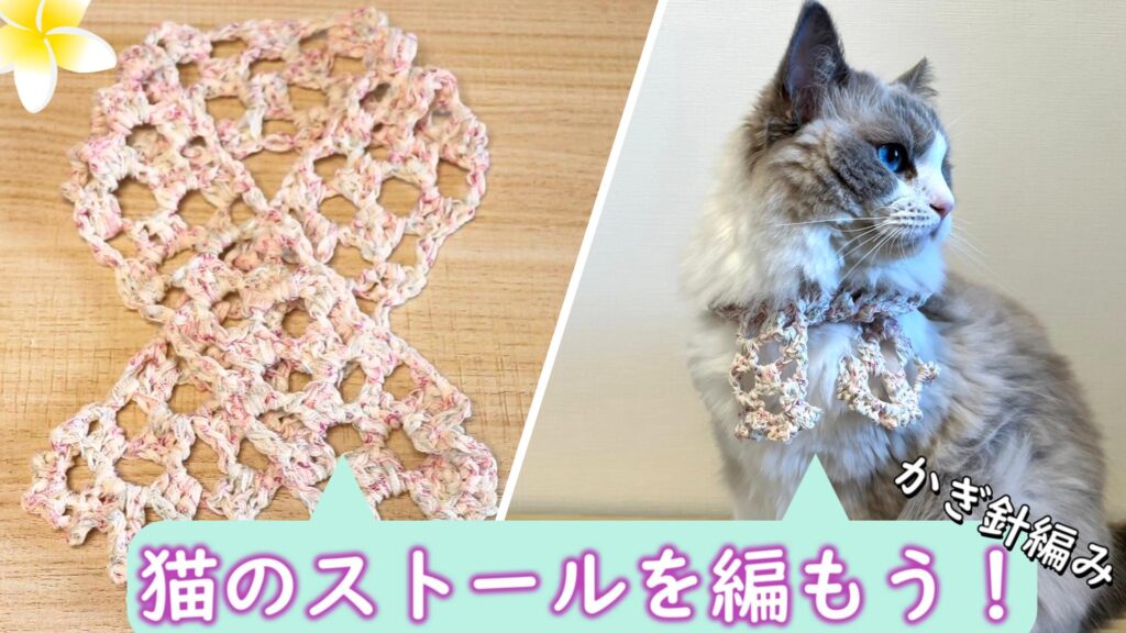 夏もおしゃれを楽しもう！猫のためのストールの編み方