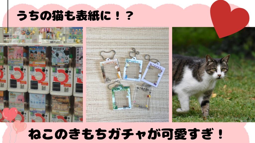 うちの猫も表紙に！？ねこのきもちガチャが可愛すぎ！