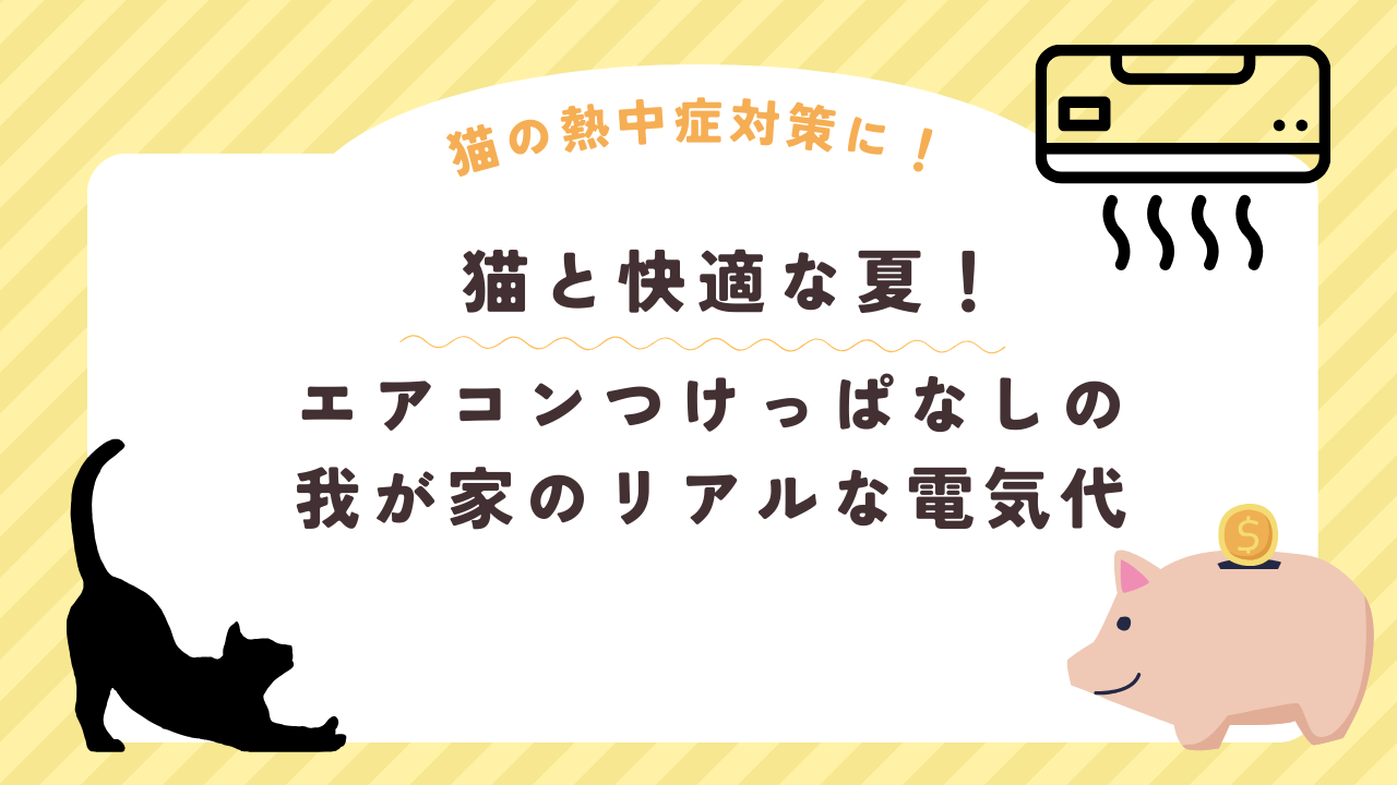 猫と快適な夏！エアコンつけっぱなし我が家の電気代