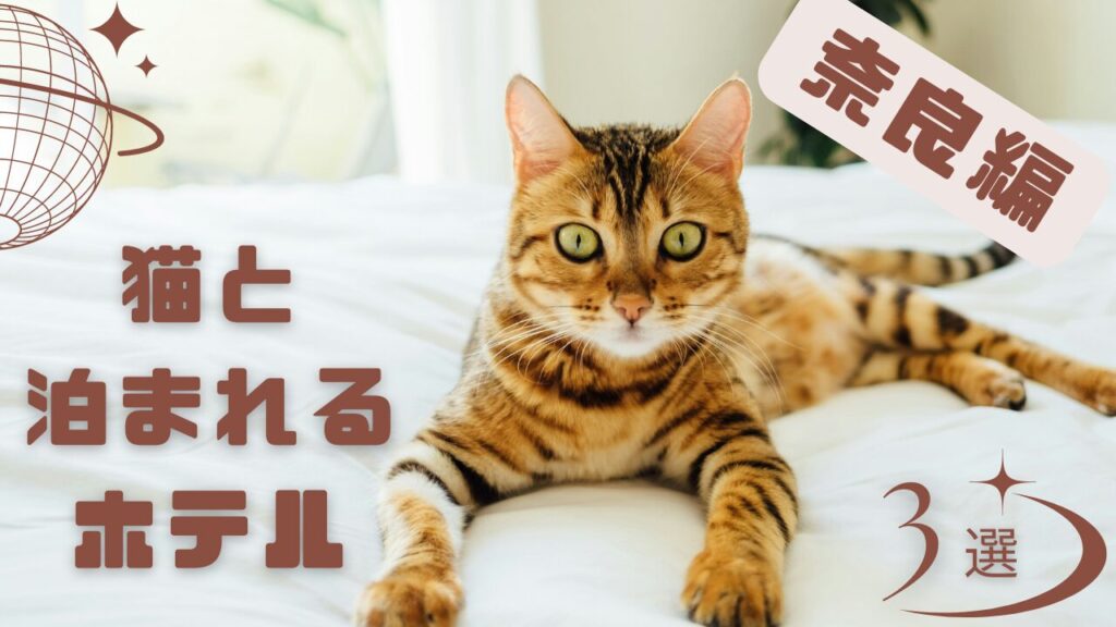 奈良で猫と泊まれるホテル