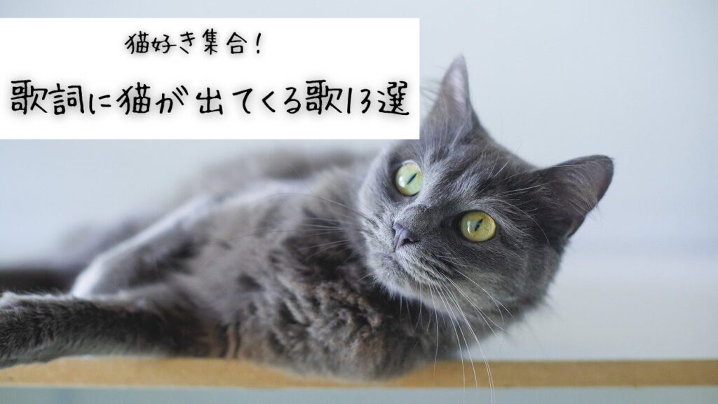 猫好き集合！歌詞に猫が出てくる歌13選！