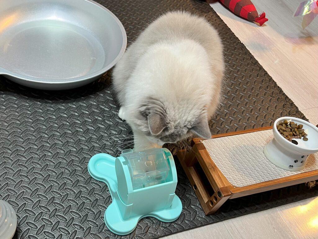 にゃんこのでるでる自飯器