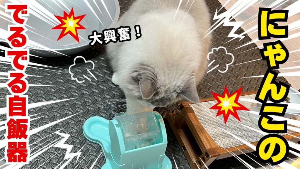 にゃんこのでるでる自飯器ってどうなの？実際試してみた！