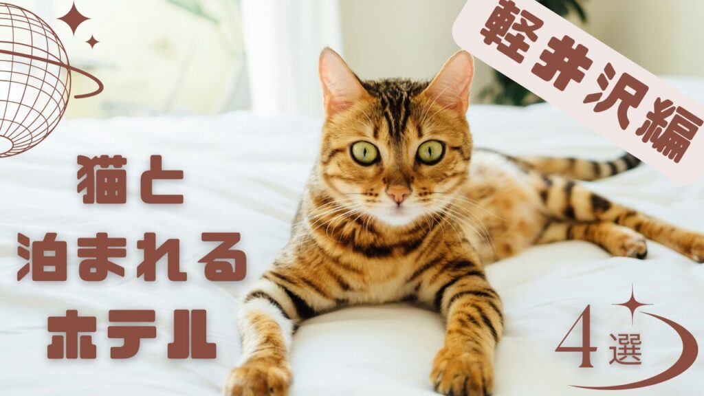 軽井沢で猫と泊まれるホテル