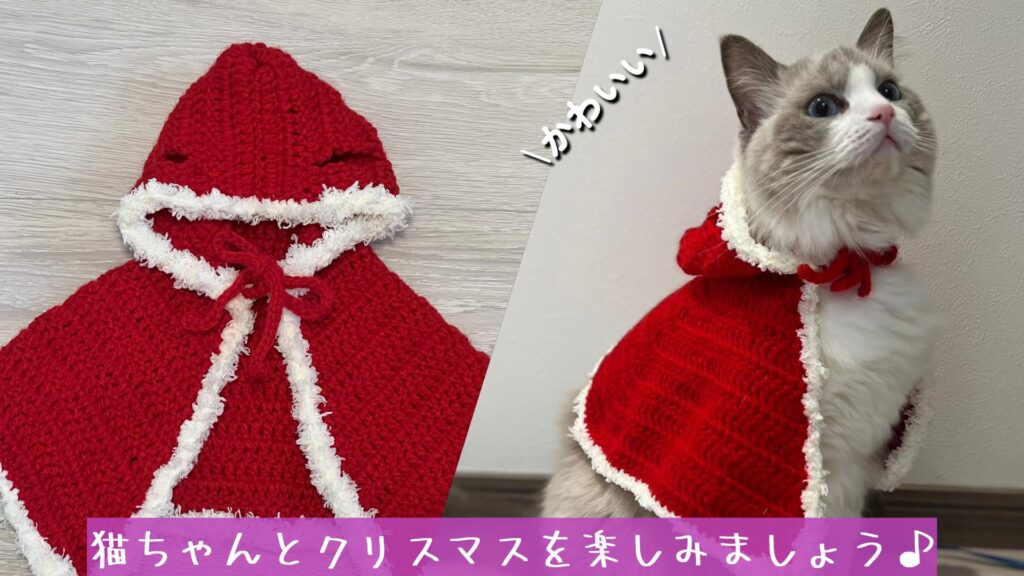 猫ちゃんとクリスマスを楽しみましょう♪