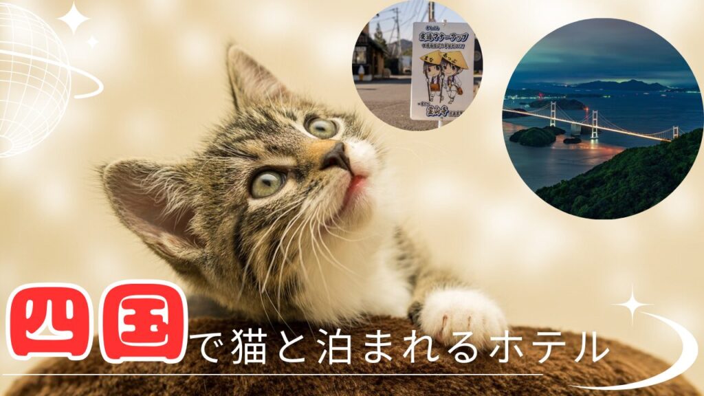 四国で猫と泊まれるホテル