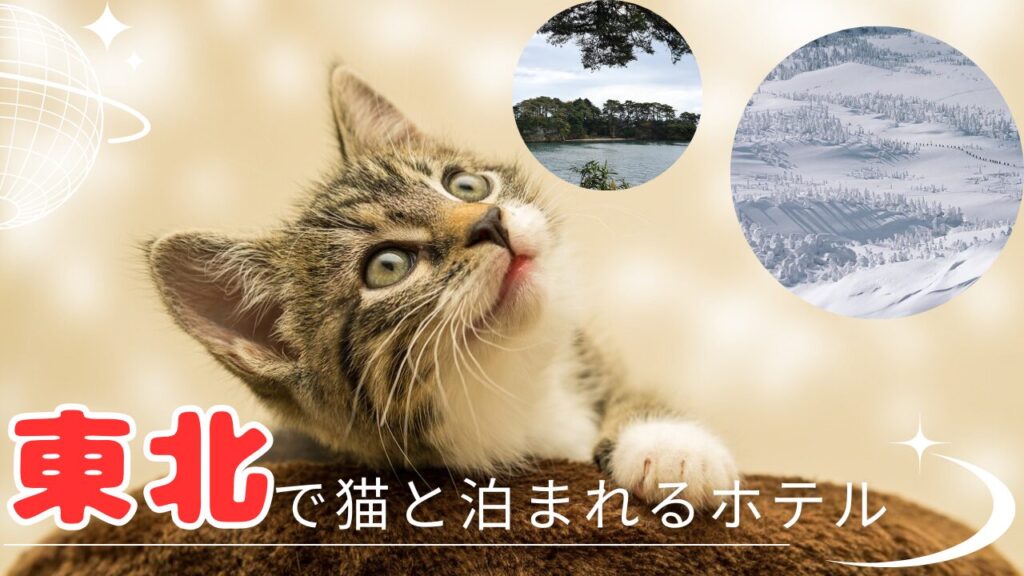 東北で猫と泊まれるホテル