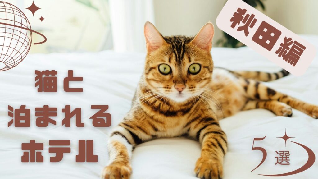 秋田で猫と泊まれるホテル