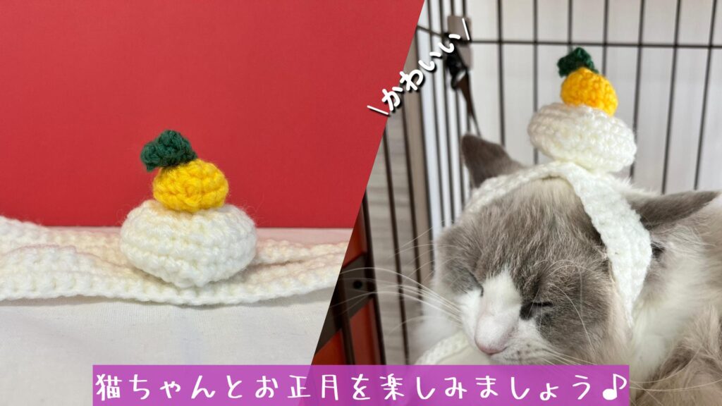 猫ちゃんとお正月を楽しみましょう♪