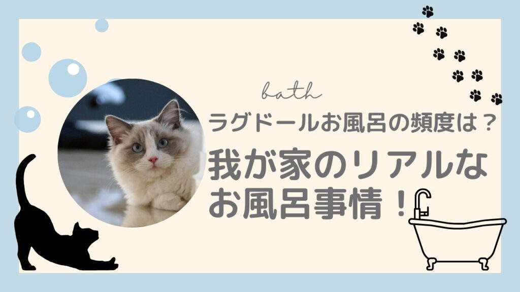 ラグドールお風呂の頻度は？我が家のリアルなお風呂事情！