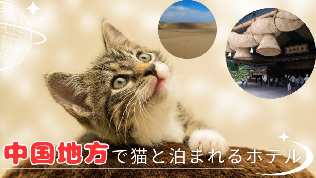 中国地方で猫と泊まれるホテル