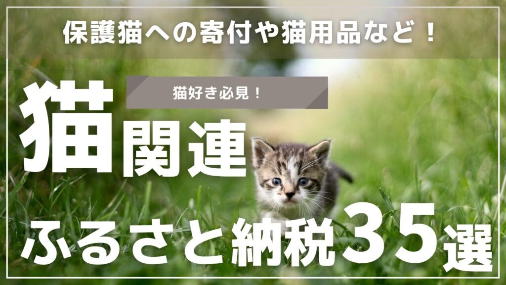 保護猫への寄付や猫用品など！猫関連ふるさと納税35選