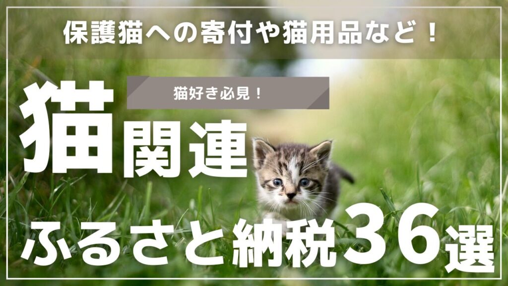 保護猫への寄付や猫用品など！猫関連ふるさと納税36選