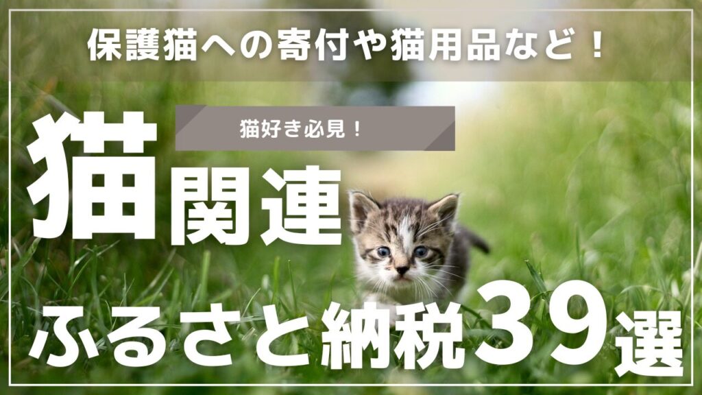 保護猫への寄付や猫用品など！猫関連ふるさと納税39選