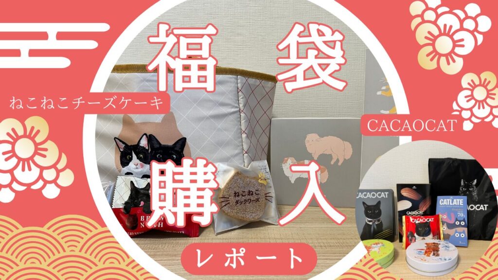 猫の福袋買ってみた！【CACAOCAT】【ねこねこ】2025