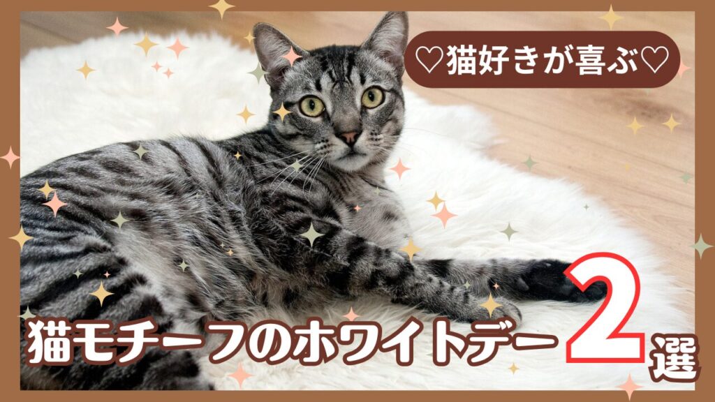 猫好きさんに♡猫モチーフのホワイトデー2選【2025】