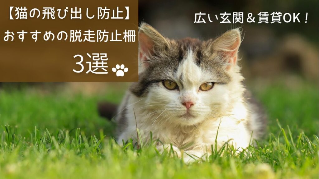 【猫の飛び出し防止】おすすめの脱走防止柵3選｜広い玄関＆賃貸OK！