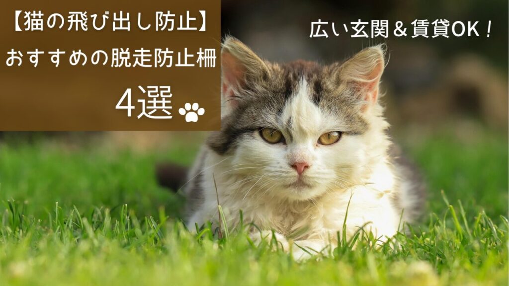 【猫の飛び出し防止】おすすめの脱走防止柵4選｜広い玄関＆賃貸OK！