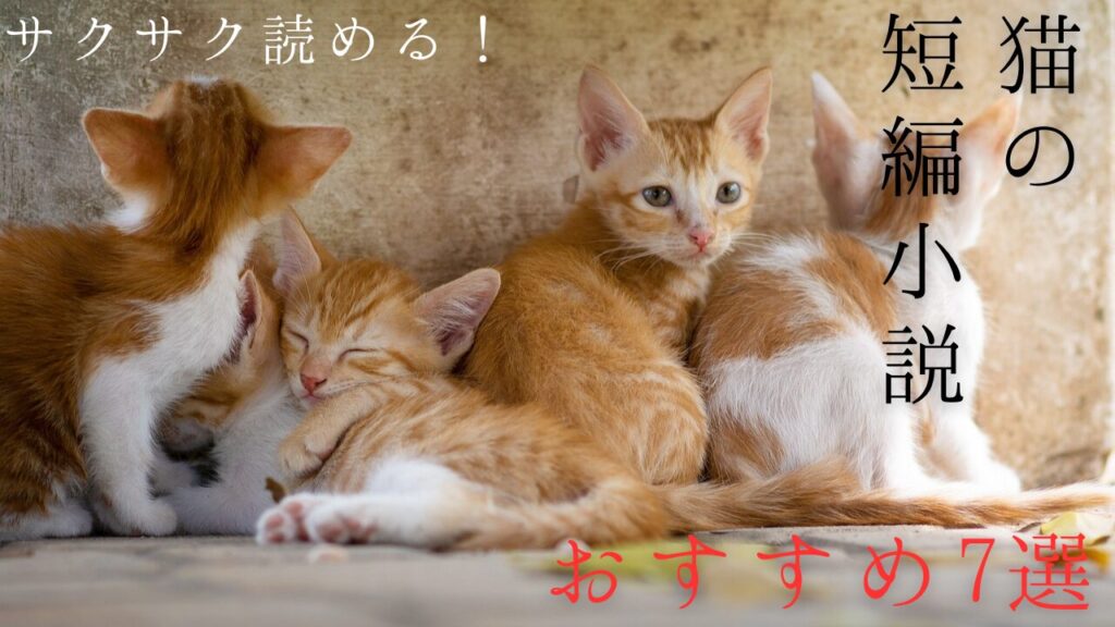 サクサク読める！猫の短編小説おすすめ7選