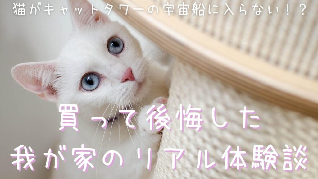 猫がキャットタワーの宇宙船に入らない！？買って後悔した我が家のリアル体験談
