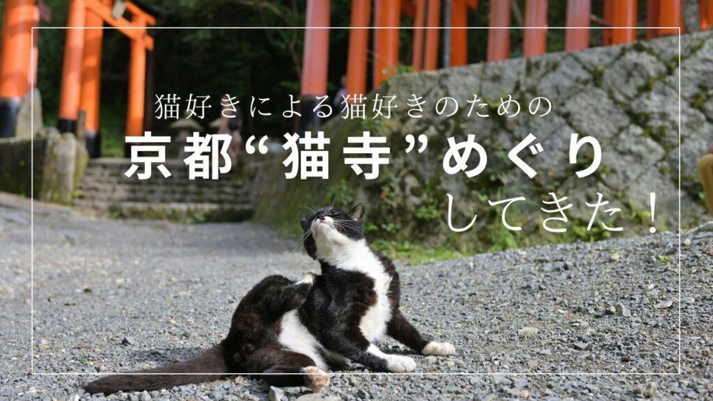 猫好きによる猫好きのための京都“猫寺”めぐりしてきた！