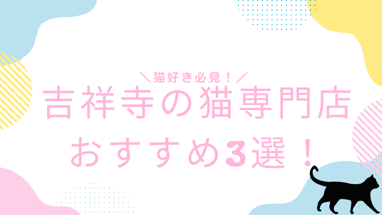 猫好き必見！吉祥寺の猫専門店おすすめ3選！