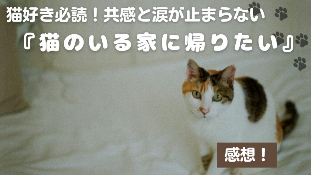 猫好き必読！共感と涙が止まらない『猫のいる家に帰りたい』感想