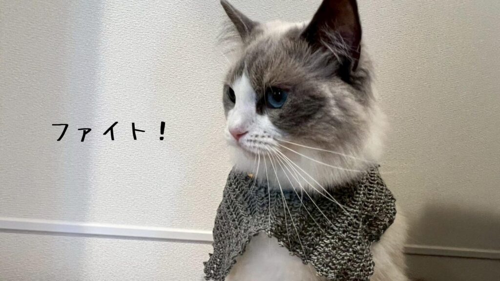 ファイト！