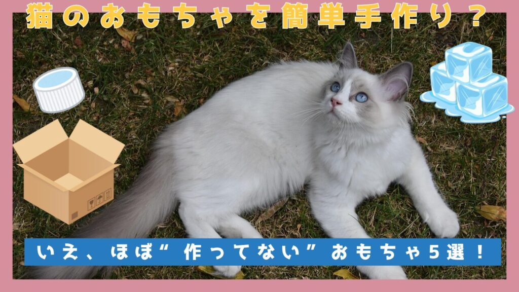 猫のおもちゃを簡単手作り？いえ、ほぼ“作ってない”おもちゃ5選！