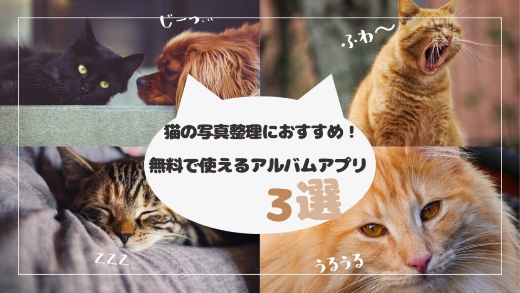 猫の写真整理におすすめ！無料で使えるアルバムアプリ3選【保存版】