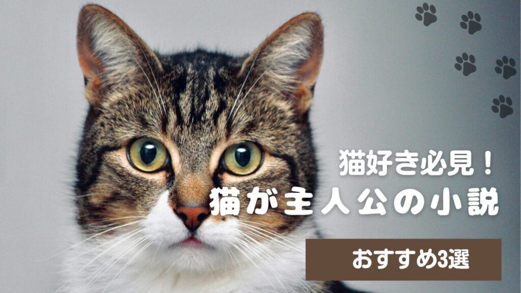 猫好き必見！猫が主人公の小説おすすめ3選
