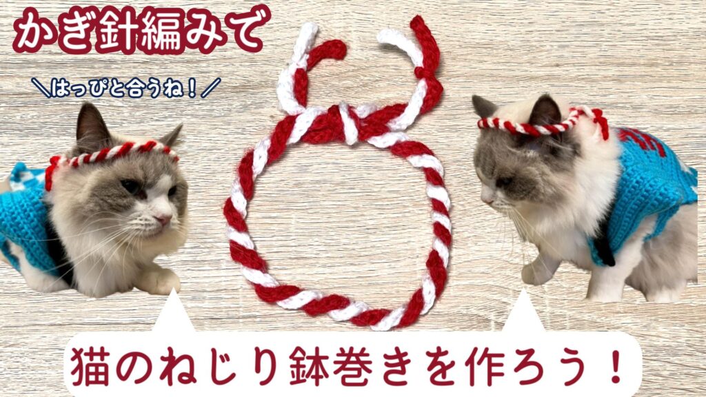 超簡単！猫のねじり鉢巻きを作ろう♪