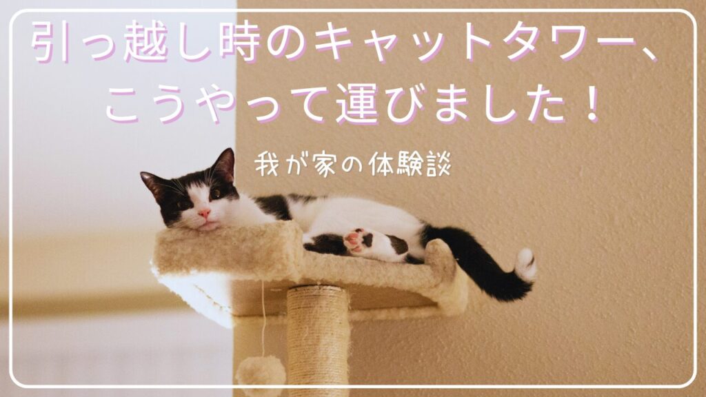 引っ越し時のキャットタワー、こうやって運びました！我が家の体験談